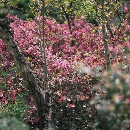 Bed and breakfast Le Batesine