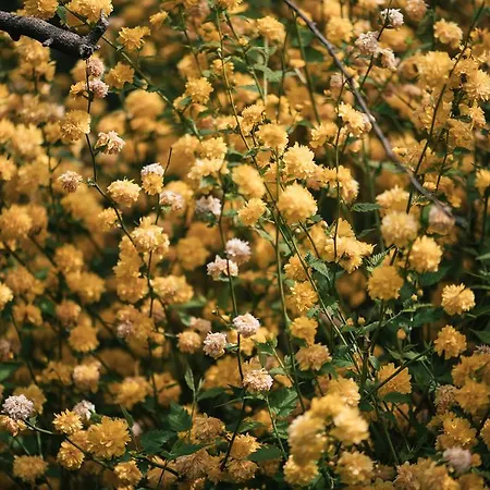 Le Batesine Bed and breakfast