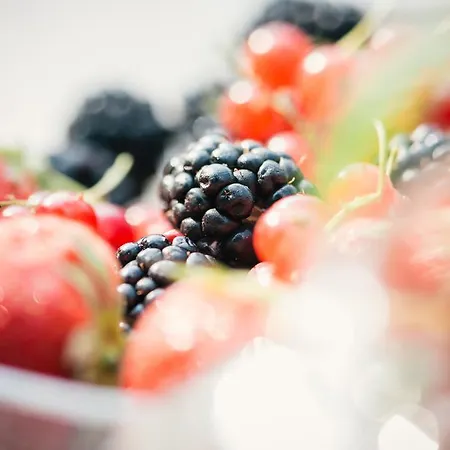 Bed and breakfast Le Batesine Verona